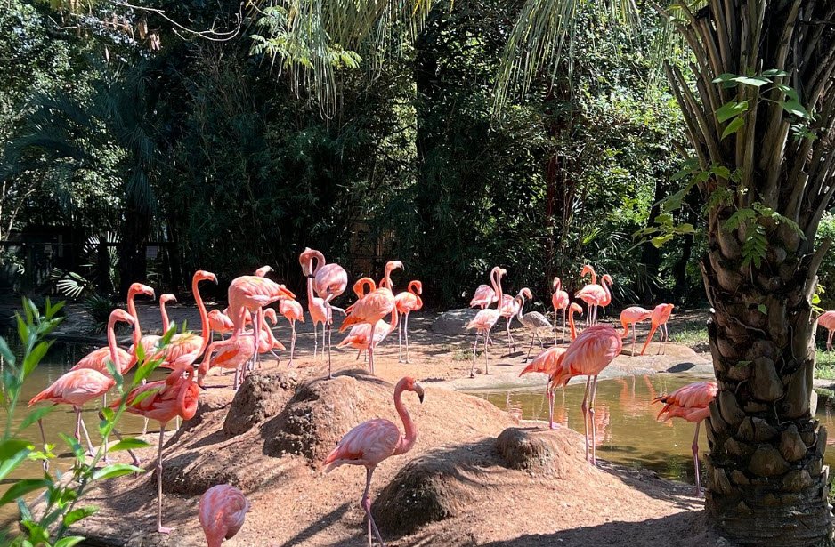 Riverbanks Zoo and Garden, South Carolina, USA